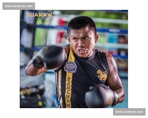 播求最新比赛精彩对决全程回顾，挑战巅峰实力展现无敌拳技